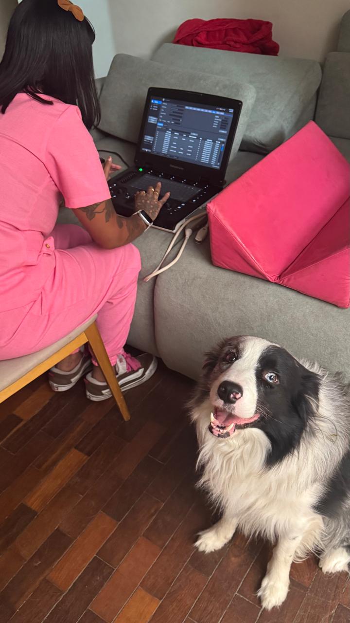 Exame veterinário Ultrapatas